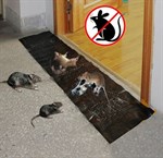 Klebefalle Maus Ungiftige Insekten & Nagetier Falle 120 x 28 cm